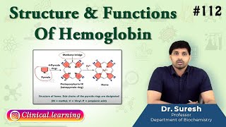 112 Structure amp Functions Of Hemoglobin [upl. by Llewen]