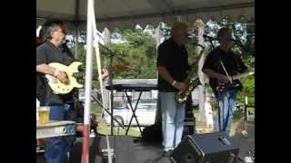 The Konnection Band  The Virginia Pork Festival 2012 [upl. by Risley32]