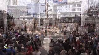 11282024  Thanksgiving Mass  Live from Christ Cathedral [upl. by Chap]