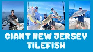 Giant Golden Tilefish NJ [upl. by Slater687]