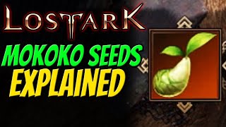 MOKOKO SEEDS EXPLAINED in Lost Ark  All Rewards amp Why to collect [upl. by Nathanil438]