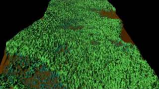 LiDAR Survey Demonstration  Remove the Forest to Reveal the Bare Earth [upl. by Aremat]