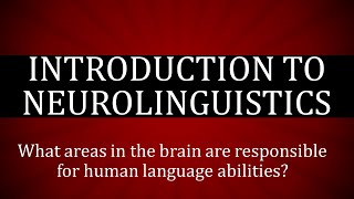 Neurolinguistics in Linguistics  Neurolinguistics Language and Brain  Language Parts of the Brain [upl. by Anitnegra]