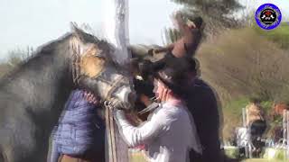 Cat Bastos 🇦🇷 ABRIENDO TRANQUERAS GAUCHAS 🇦🇷 Festival en la organización de Nanci Cavania [upl. by Kwang]