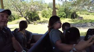 Kilimanjaro Safaris  Animal Kingdom  Walt Disney World Resort [upl. by Virgilio499]