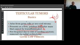 Testicular tumors amp its classification Pathoma In UrduHindi [upl. by Eissehc931]