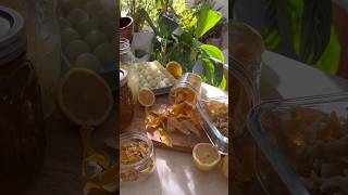 Preserve Lemons Four Ways [upl. by Yelik]