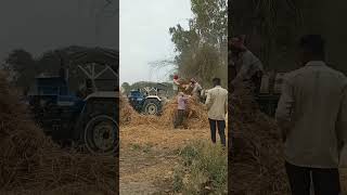 new Hallandale 50hp15hp thresaragriculture farming indianfarmer shortvideo [upl. by Netty801]