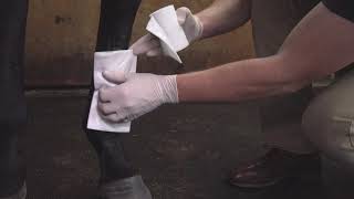 Vet tip of the trade How to bandage a cannon bone [upl. by Atinaj]