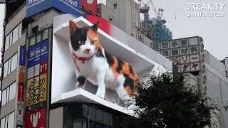 Shinjuku Cat In Japan  Ultra Realistic 3D Billboard Wall Screen Tokyo Japan 2021 [upl. by Sillihp]