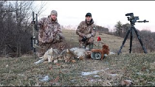 Coyote Hunting Triple quotOverrunquot [upl. by Christina]