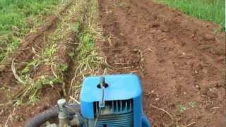 Ransomes MG5 Crawler and our Potatoes 2011 [upl. by Alysa]