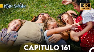 Pájaro Soñador Capítulo 161 Doblado En Español 4K FİNAL [upl. by Limoli]