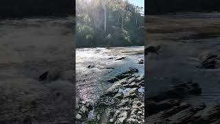 Warrandyte State Park  VIC Australia park lake river camping hike asmr relax outback [upl. by Reiko]