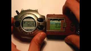 3 Digimon Digivice Vs Digimon Tamagotchi MetalGreymon vs Greymon [upl. by Anirpas]