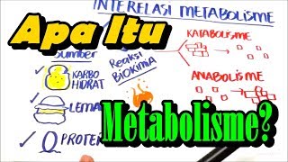 Apa itu Metabolisme  Anabolisme dan Katabolisme [upl. by Htebazile]