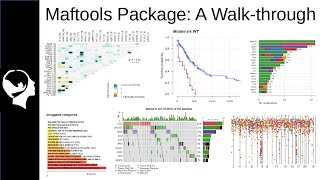 Cancer Somatic Mutation Analysis  MAFtools R Package [upl. by Letha823]