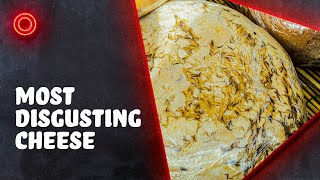 Why Are People Eating Maggot Filled Cheese [upl. by Baptiste]