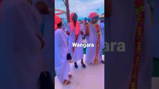 Wangara Dance The best r dance in Ghana Proud Wangaran [upl. by Jacinto]