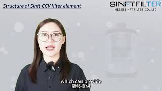 SINFT CrossReference CCV Filter Element [upl. by Yht]