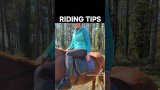 How to care for a horse THE ULTIMATE HORSE CARE GUIDE horsecaretips horse equestrian pony [upl. by Carver]