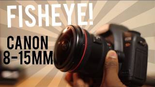 What is a Fisheye Lens [upl. by Kassandra]