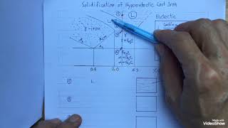 Metallurgy Solidification of Hypoeutectic Cast Iron [upl. by Ahern320]