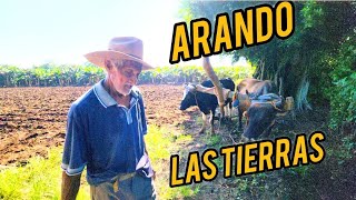 ARANDO LA TIERRA CON BUEYES EN EL SALVADOR [upl. by Ioves]