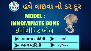 INNOMINATE BONE ઇનોમીનેટ બોનSTRUCTUREPART NAME VIVAFUNCTION TABLEFOR ANMGNMBScNURSING [upl. by Llerrehc483]