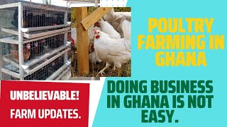 POULTRY FARMING IN GHANA FARM UPDATES [upl. by Hazen]