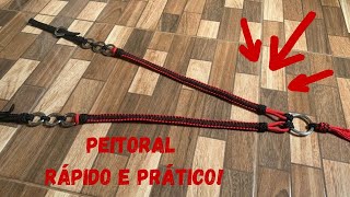 Como fazer peitoral simples e rápido [upl. by Reprah993]