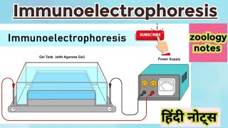 Immunoelectrophoresis MSc zoology 2nd semester Hindi notes [upl. by Gennie]