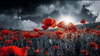 12th November 2023  Remembrance Service [upl. by Rainwater]