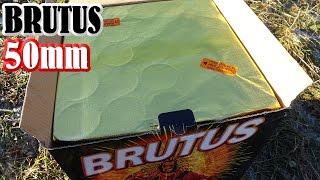 Brutus  50 mm Cake  LIDL Tschechien HQ [upl. by Sorkin]