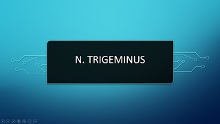 N Trigeminus  V Kraniyal Sinir [upl. by Habas]