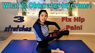 Hip Groin Pain What is Obturator Internus 3 Best Exercises Fix [upl. by Milone]