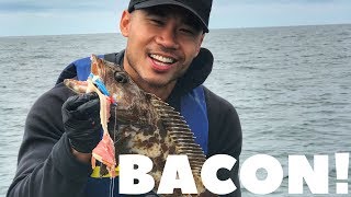 Fishing for Lingcod rockfish with BACON [upl. by Eibur300]