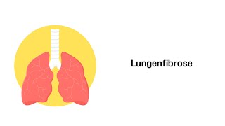 Lungenfibrose  Erkrankungen der Atemwege [upl. by Leatrice]