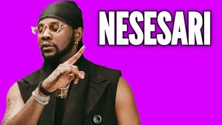 Kizz Daniel  NESESARI Music Video  Afrobeats [upl. by Nygem]