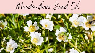 Meadowfoam Seed Carrier Oil INCI Limnanthes Alba Seed Oil Emollient Improve Water Retention [upl. by Wivinia]