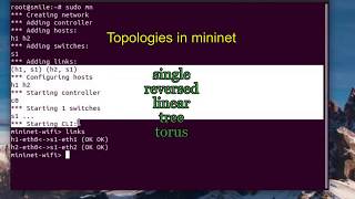 Eng sub Topologies in mininet 5  mininet tutorial [upl. by Annaeerb]