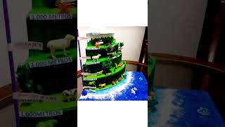 food chain model how to make food chain [upl. by Cotsen448]