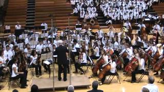 Fox Valley Music Festival 2013 84th Annual Orchestra [upl. by Aikemat]