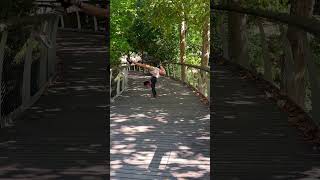 Inversion Arm Balance amp Handstand Flow Yoga  Calisthenics 🫶 [upl. by Hanan]