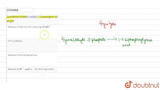 Glyceraldehyde 3phosphate is oxidised to 13 biphosphoglyceric acid alongwith [upl. by Dhiren]