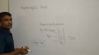 Hydrolysis Test Chemistry Practical  Dr Bharat Baria [upl. by Einnalem]