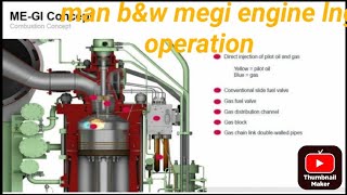 Why Dual Fuel Engines Are The Future [upl. by Dragelin]