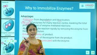 Enzyme immobilization Unit 4 Lecture 1 [upl. by Zakarias553]