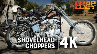 Shovelhead Choppers Compilation  73 stunning bikes shown in detail [upl. by Ebehp]