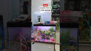 Complete Aquarium Tank ✅ [upl. by Kcinnay]